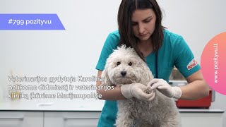 #799. Veterinarijos gydytoja: palikome didmiestį ir veterinarijos kliniką įkūrėme Marijampolėje