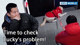 Rushes him to open the door!🚪 [Dogs are incredible : EP.157-3] | KBS WORLD TV 230214