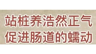 辟谷养生｜站桩答疑｜徐文兵谈站桩养浩然正气｜2022-8-16