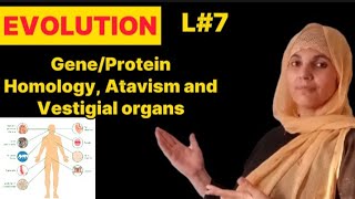 |EVOLUTION|L#7 Gene and Protene Homology|Atavism and Vestigial Organs| #neetvideos