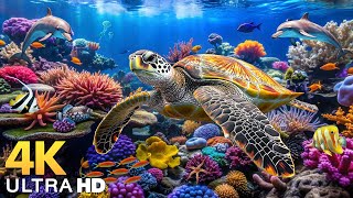 The Best 4K Ocean - Dive Deep and Marvel at Sea Animal in The Best 4K ULTRA HDR Aquarium Footage #3