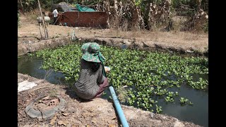 ចិញ្ចឹមត្រីអណ្តែងនិងដាំបន្លែលក្ខណៈគ្រួសារ ជួយសុខភាពនិងកាត់បន្ថយការចំណាយ