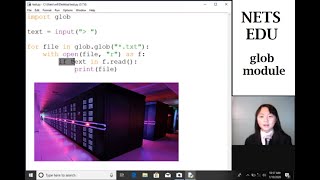Python Script Tutorial Series 1 glob Module List all files containing a string 程序列出包含特殊字符串所有文件