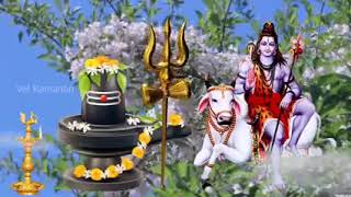 ஆயிரம் சூரியன் ☀️ உன் முகத்தில் தெரியும்... God siva devotional song in tamil