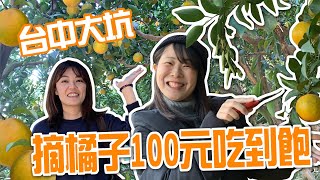 【台中大坑】帶日本人摘橘子去！！台中觀光橘子園 入園吃到飽只要100元！！
