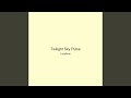 Twilight Sky Pulse