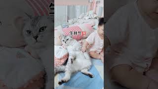 谁家猫能有我家可乐这么爱生气#猫咪 #猫和孩子 #萌娃和萌宠