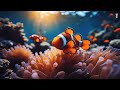 Beautiful Relaxing Music - Peaceful Relaxing Instrumental Music, Stop Overthinking, Calm Music