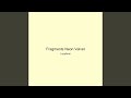 Fragments Neon Velvet