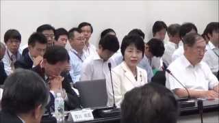 【2014.5.30】電波政策ビジョン懇談会第8回 上川陽子総務副大臣