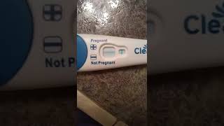 Clear Blue Bfp