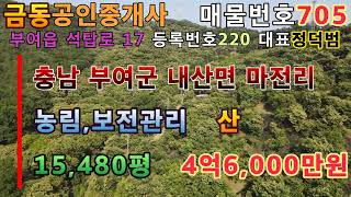 705 연 500가마의 밤을 생산하는 밤나무 산 부여땅 부여부동산