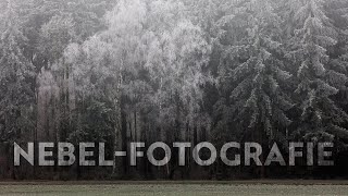 Landschaft im Nebel direkt vor der Tür - Landschaftsfotografie