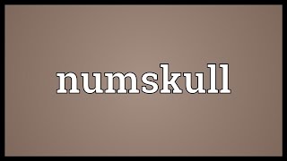 Numskull Meaning