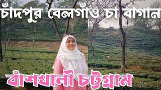 চাঁদপুর বেলগাঁও চা বাগান // বাঁশখালী চানপুর বেলগাঁও চা বাগান // Chattogram tea garden