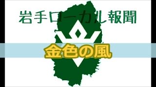 【岩手ローカル報聞】金色の風・最高級新品種米