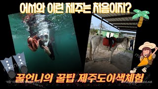 제주도 요건몰랐지? 문어,뿔소라를직접잡는다? 이색체험 해녀체험! Jeju Island |korean style |snorkeling |Unusual chevaluatinn