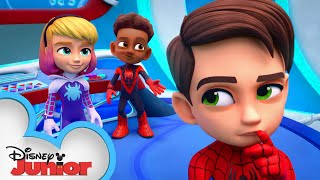 Meet Spidey and his Amazing Friends Short #11 | WEB-STER | @disneyjunior  @Marve