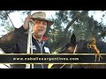 Caballos Argentinos @caballosargentinos