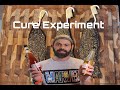 The Biltong Cure Experiment !