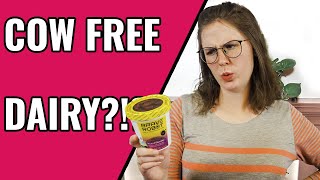 COW-FREE DAIRY??! Brave Robot Review, how it's made + Free Pint of Ice Cream!