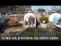 지평면 수영장있는 유명 낚시터 급 매매 낚시돔 12개 에어컨 시설 완비