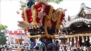 百舌鳥八幡宮ふとん太鼓　中百舌鳥町（２０１７年　本殿前） 2