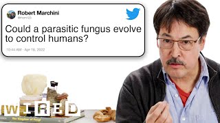 Mycologist Answers Mushroom Questions From Twitter 🍄 | Tech Support | WIRED