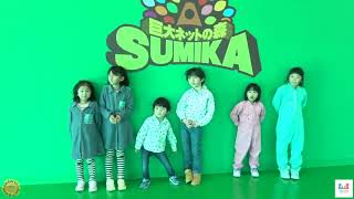 【コラボ☆】日本最大級！！巨大ネットの森SUMIKA！！巨大アスレチックで宝探し競争だ☆himawari-CH