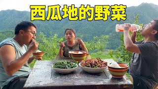 西瓜地长满了野菜，妈妈搞一篮子小炒，太美味了【湘西冬宝】