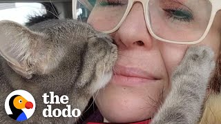 Clingy Cat Goes Everywhere With Mom | The Dodo