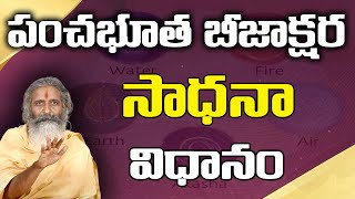 Panchabhutas || పంచభూత బీజాక్షర సాధనా విధానం ! || Divyagyana Siddhanti || Sree Sannidhi TV