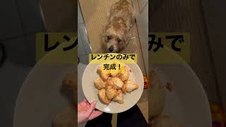 【キチくんは食べれませんよ】 #shorts #無印良品 #塩こうじからあげ #冷凍食品 #dog