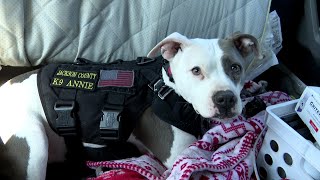 K9 helps Jackson County Animal Control Officer by calming nerves of other animals