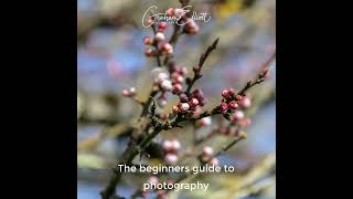 Beginners guide to photography