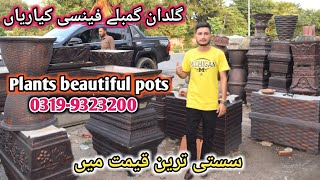 Cheapest price Cement flower Guldan and Flower pots|Beautiful style plants Gamla kyari#Plantpotsnew