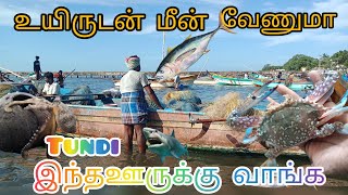 கம்மியான விலையில் மீன் 🐠வாங்கணுமா இந்த fish market thondi