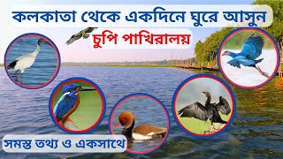 কলকাতার খুব কাছে একদিনের ভ্রমণ |Chupi Pakhiralay Resorts | চুপির চর পূর্বস্থলী |  Chupi Char |Chupi|