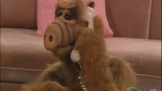 1 (ALF) S01E04