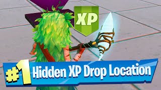 Search the XP Drop hidden in the Chaos Rising Loading Screen (Chaos Rising)