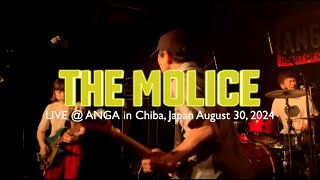 THE MOLICE \