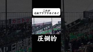 高校野球を盛り上げるアゲホイ #甲子園#高校野球#野球#プロ野球#報徳学園#大阪桐蔭#健大高崎#東海大相模#智弁和歌山