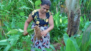 Local Yam arrowroot (Hulankeeriya) Traditional Foods|| mali cooking in nature