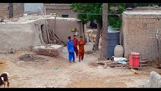 Natural Punjabi Village Life In Pakistan