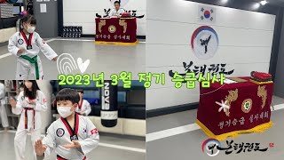 [보은태권도/본태권도]2023년 3월 정기 승급심사