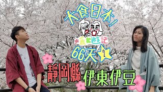 【大食日本★66天!】Ep2 伊豆高原賞櫻花 終於食到金目鯛刺身! - 大食女遊記|BigEatGirls