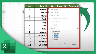 How to Create a Filter in Excel | Microsoft Excel Tutorial (2025)