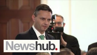 Who will replace James Shaw as Green Party Co-Leader? | Newshub