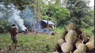 TIDUR DI PONDOK SA'AT MUSIM BUAH DURIAN TIBA | CAMPING MUSIM BUAH