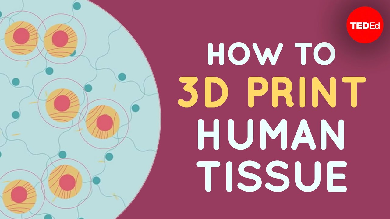 How To 3d Print Human Tissue Taneka Jones Go It How To 3d Print Human Tissue Taneka Jones Go It